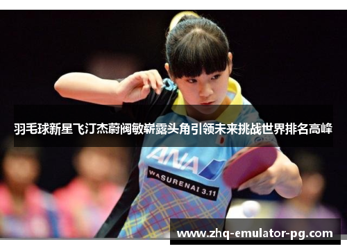 羽毛球新星飞汀杰蔚阀敏崭露头角引领未来挑战世界排名高峰